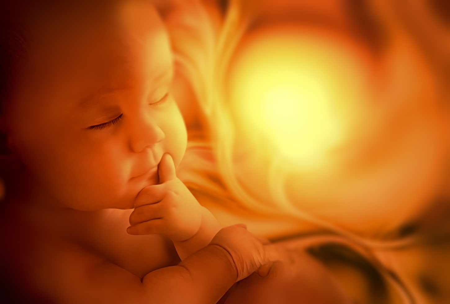 baby in utero womb